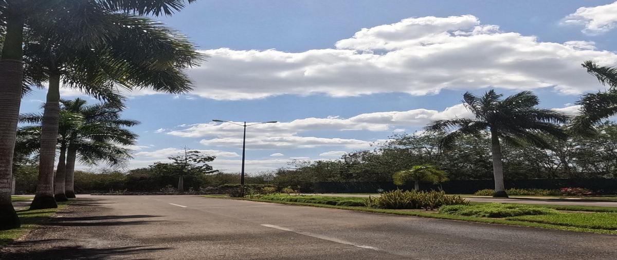 Foto de terreno habitacional en venta en  , dzidzilché, mérida, yucatán, 0 No. 05