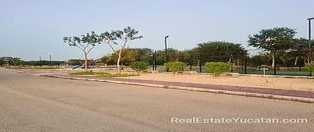 Foto de terreno habitacional en venta en  , dzidzilché, mérida, yucatán, 0 No. 05