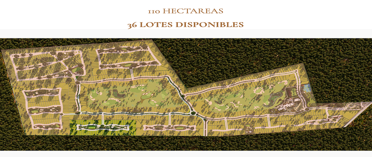 Foto de terreno habitacional en venta en  , dzidzilché, mérida, yucatán, 31116530 No. 04