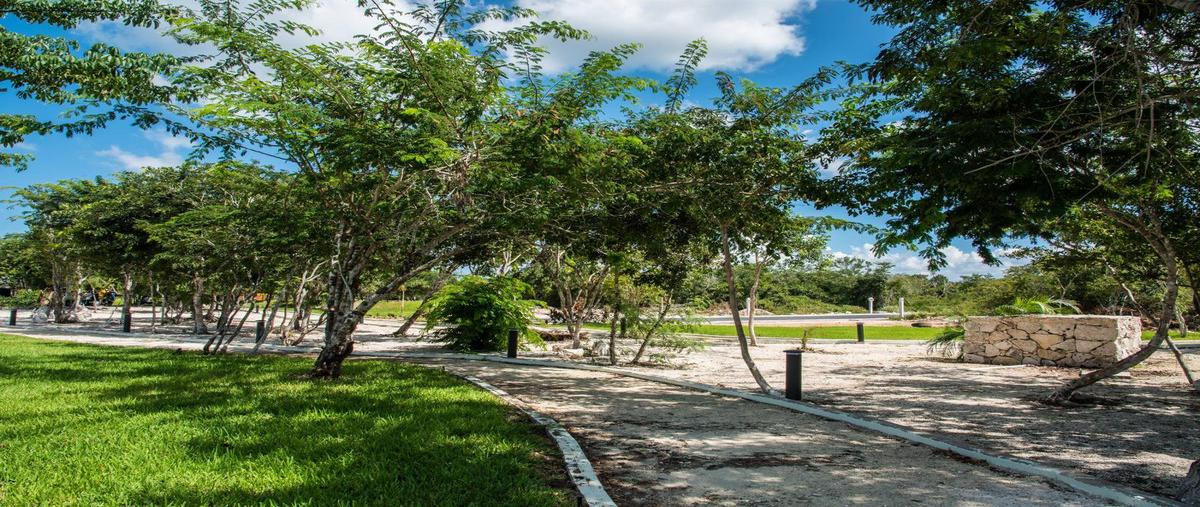 Foto de terreno habitacional en venta en  , dzidzilché, mérida, yucatán, 31426539 No. 04