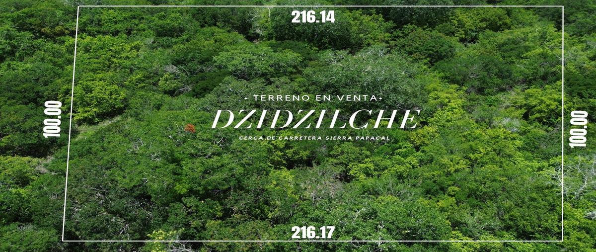 Foto de terreno habitacional en venta en  , dzidzilché, mérida, yucatán, 0 No. 03