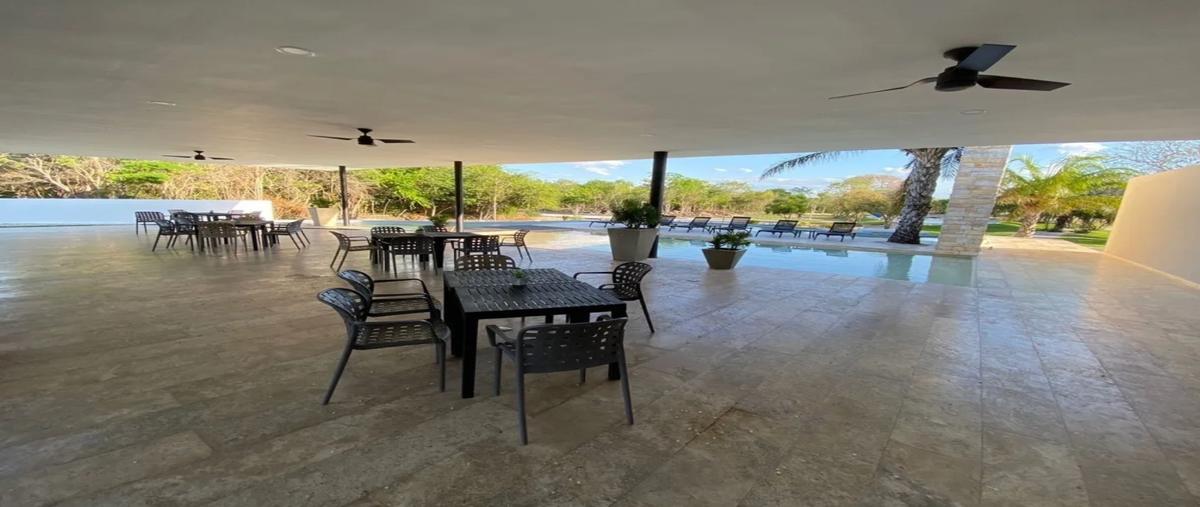 Foto de terreno habitacional en venta en  , dzidzilché, mérida, yucatán, 0 No. 04