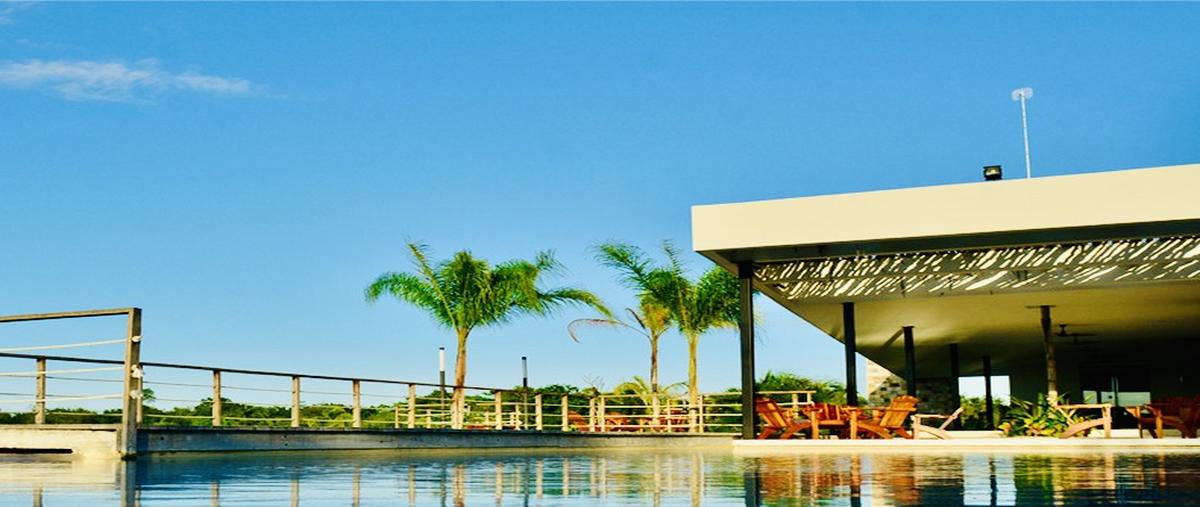 Foto de terreno habitacional en venta en dzidzilche whi287944, dzidzilché, mérida, yucatán, 25526192 No. 03