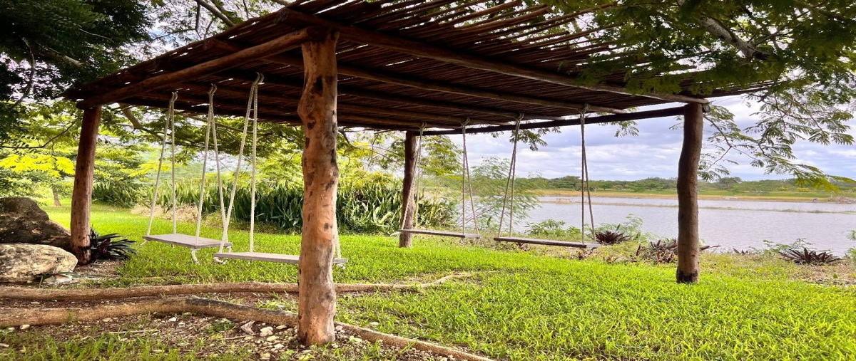 Foto de terreno habitacional en venta en dzidzil-ha , dzidzilché, mérida, yucatán, 0 No. 05