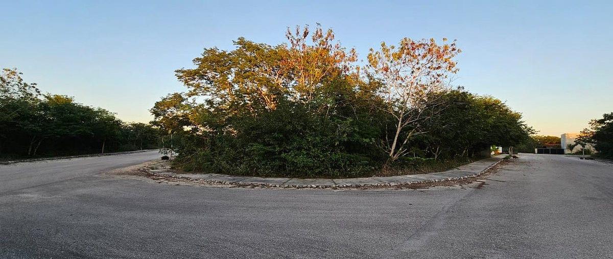 Foto de terreno habitacional en venta en dzidzil-ha , dzidzilché, mérida, yucatán, 0 No. 05