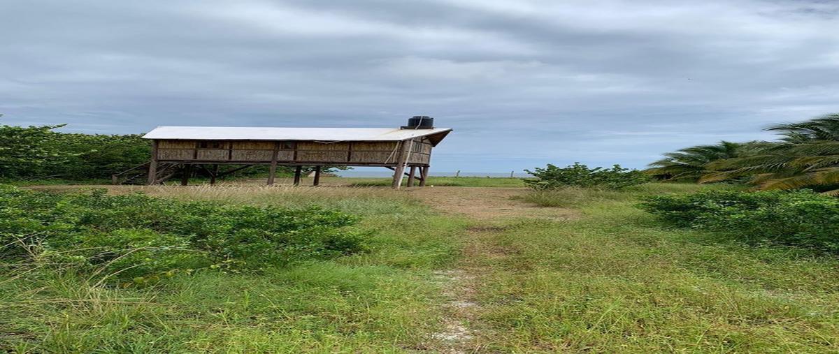 Foto de terreno habitacional en , dzilam de bravo, dzilam de bravo, yucatán, 26373516 foto 01 Foto de terreno habitacional en venta en , dzilam de bravo, dzilam de bravo, yucatán, 26373516 No. 01