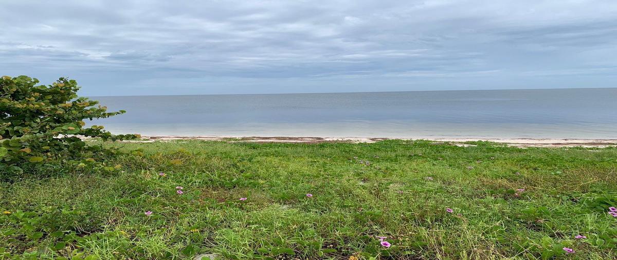 Foto de terreno habitacional en , dzilam de bravo, dzilam de bravo, yucatán, 26373516 foto 02 Foto de terreno habitacional en venta en , dzilam de bravo, dzilam de bravo, yucatán, 26373516 No. 02