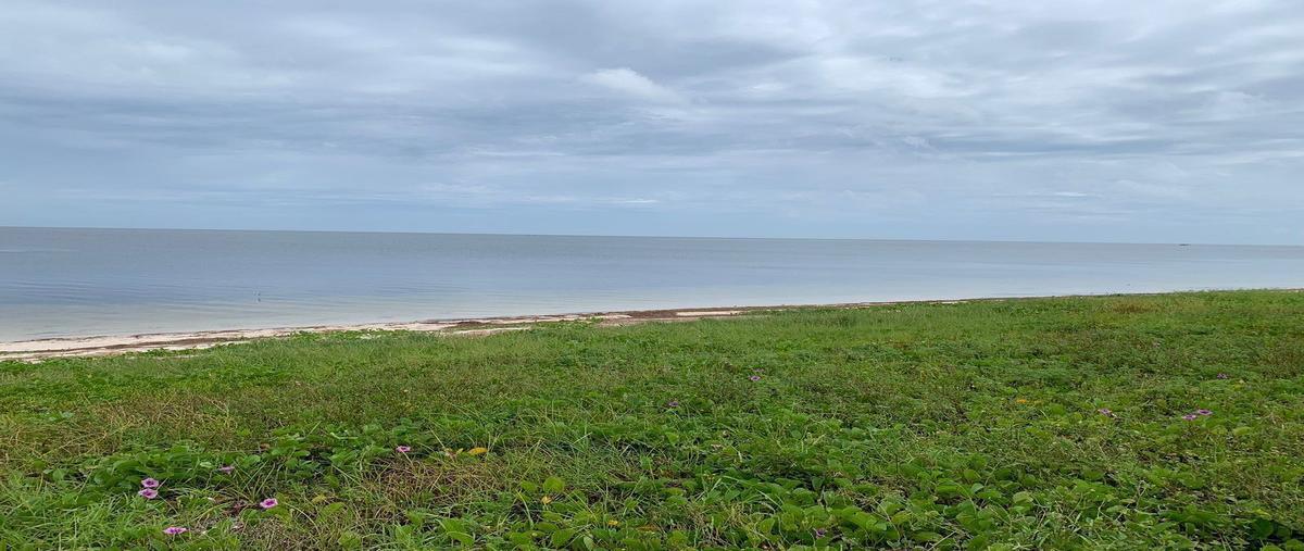 Foto de terreno habitacional en , dzilam de bravo, dzilam de bravo, yucatán, 26373516 foto 03 Foto de terreno habitacional en venta en , dzilam de bravo, dzilam de bravo, yucatán, 26373516 No. 03