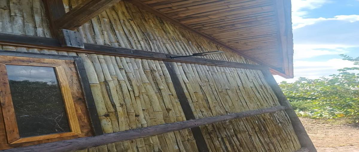 Foto de terreno habitacional en , dzilam de bravo, dzilam de bravo, yucatán, 26373516 foto 05 Foto de terreno habitacional en venta en , dzilam de bravo, dzilam de bravo, yucatán, 26373516 No. 05