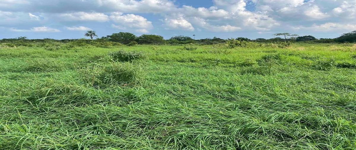 Foto de rancho en venta en  , dzilam de bravo, dzilam de bravo, yucatán, 27688224 No. 03