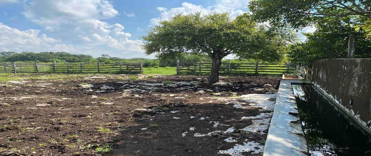 Foto de rancho en venta en  , dzilam de bravo, dzilam de bravo, yucatán, 27688224 No. 05