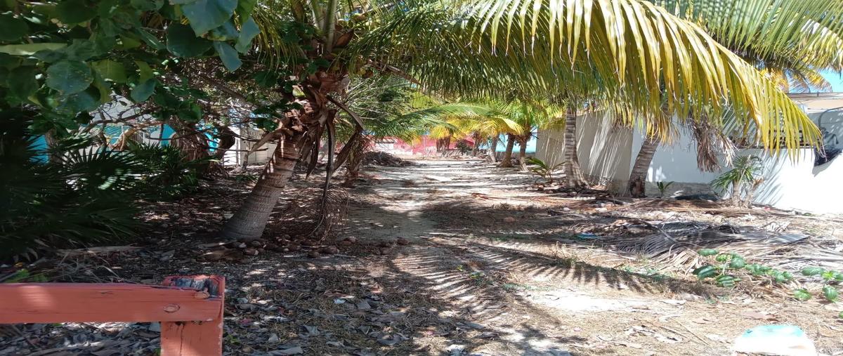 Foto de casa en , dzilam de bravo, dzilam de bravo, yucatán, 0 foto 03 Foto de casa en venta en , dzilam de bravo, dzilam de bravo, yucatán, 0 No. 03