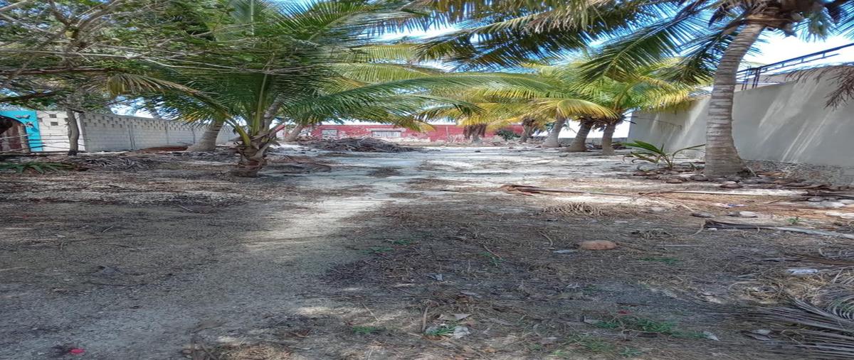 Foto de casa en , dzilam de bravo, dzilam de bravo, yucatán, 0 foto 05 Foto de casa en venta en , dzilam de bravo, dzilam de bravo, yucatán, 0 No. 05