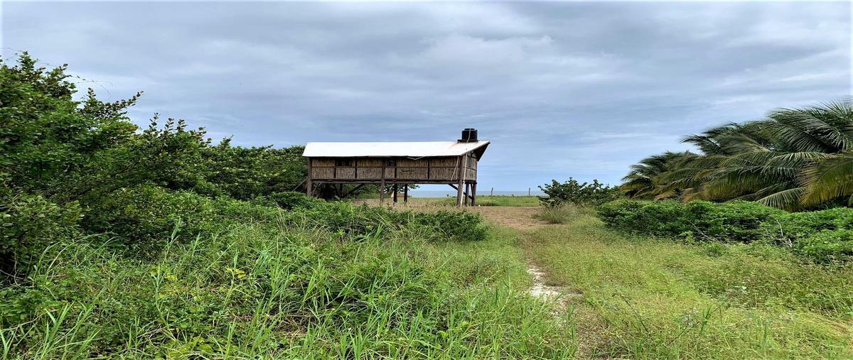Foto de terreno habitacional en venta en  , dzilam de bravo, dzilam de bravo, yucatán, 0 No. 04