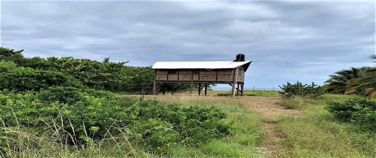 Foto de terreno habitacional en venta en  , dzilam de bravo, dzilam de bravo, yucatán, 0 No. 05