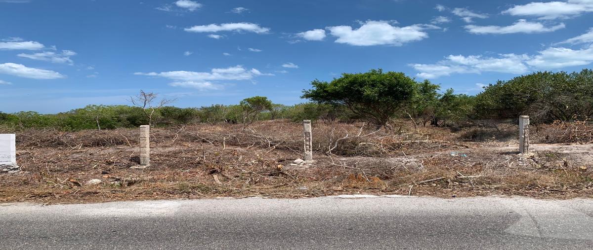 Foto de terreno habitacional en venta en  , dzilam de bravo, dzilam de bravo, yucatán, 28430541 No. 03