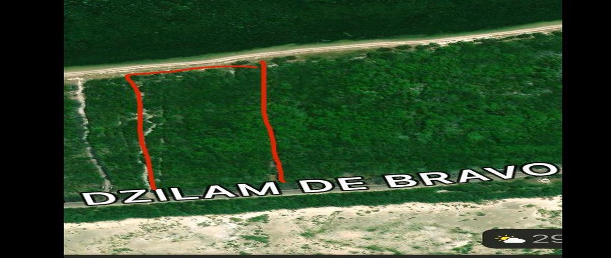 Foto de terreno habitacional en venta en  , dzilam de bravo, dzilam de bravo, yucatán, 28430541 No. 05