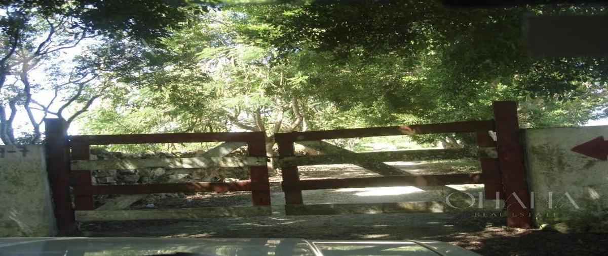 Foto de terreno habitacional en venta en  , dzilam de bravo, dzilam de bravo, yucatán, 0 No. 04