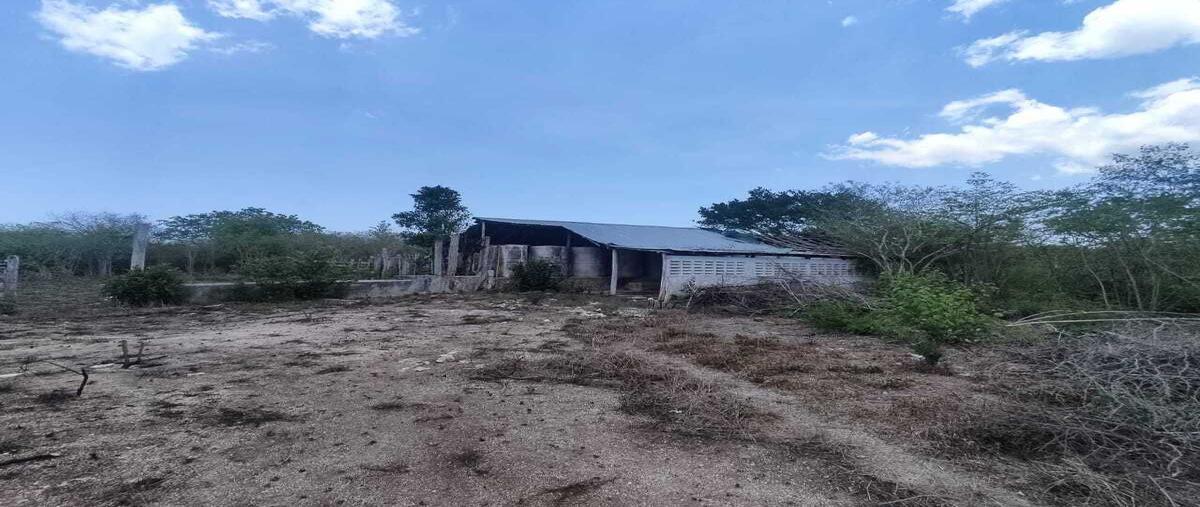 Foto de rancho en venta en  , dzilam de bravo, dzilam de bravo, yucatán, 0 No. 04