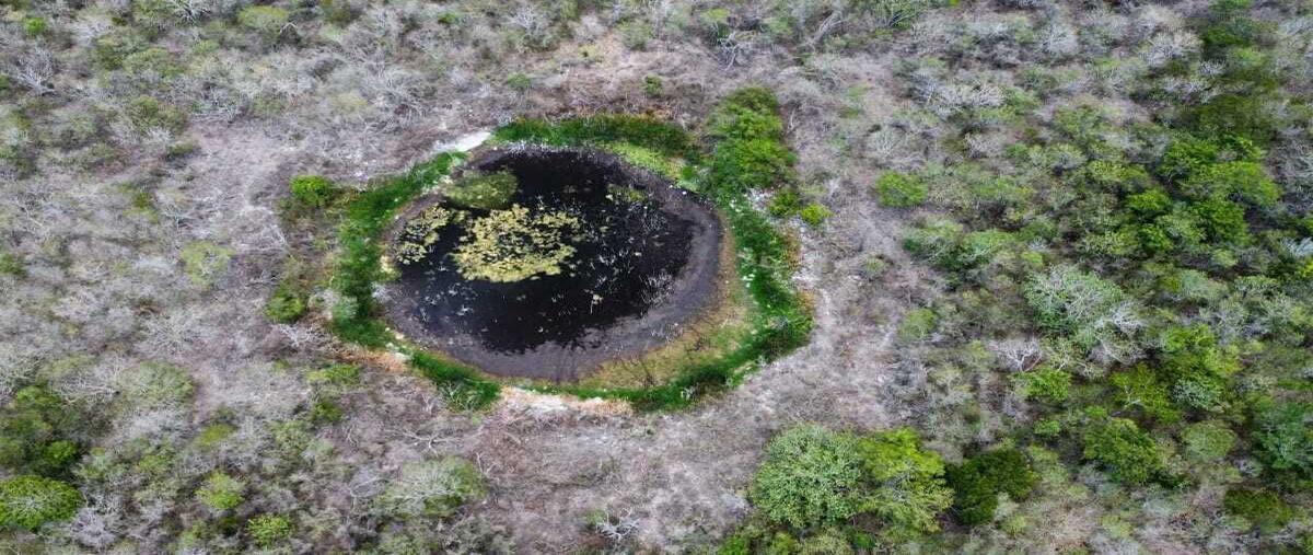 Foto de rancho en venta en  , dzilam de bravo, dzilam de bravo, yucatán, 0 No. 05