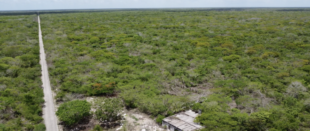 Foto de terreno habitacional en venta en  , dzilam de bravo, dzilam de bravo, yucatán, 0 No. 04