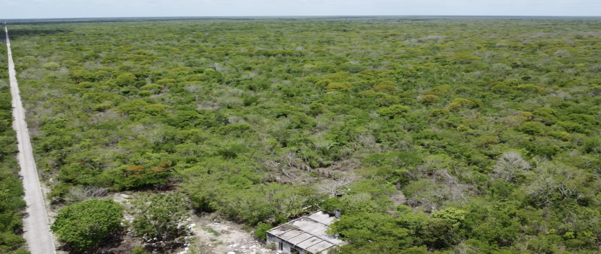 Foto de terreno habitacional en venta en  , dzilam de bravo, dzilam de bravo, yucatán, 0 No. 05
