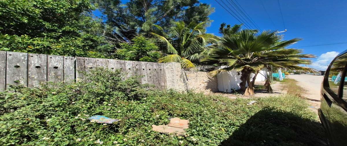 Foto de terreno habitacional en venta en  , dzilam de bravo, dzilam de bravo, yucatán, 30529482 No. 05