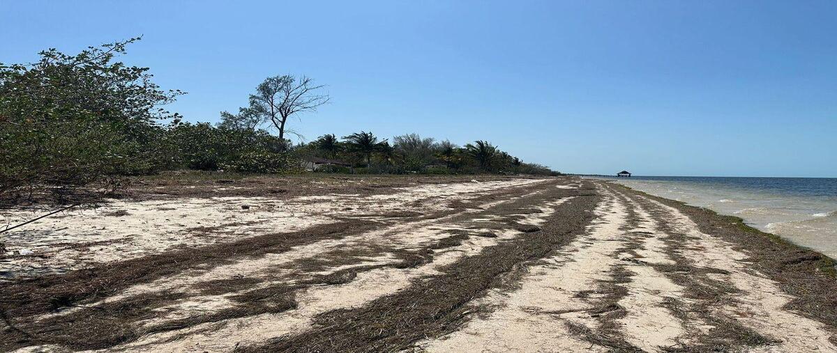 Foto de terreno habitacional en venta en  , dzilam de bravo, dzilam de bravo, yucatán, 0 No. 03