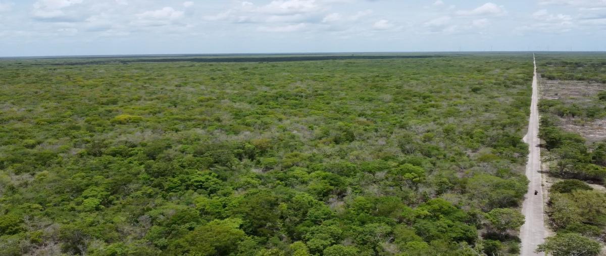 Foto de terreno habitacional en venta en  , dzilam de bravo, dzilam de bravo, yucatán, 30848436 No. 03
