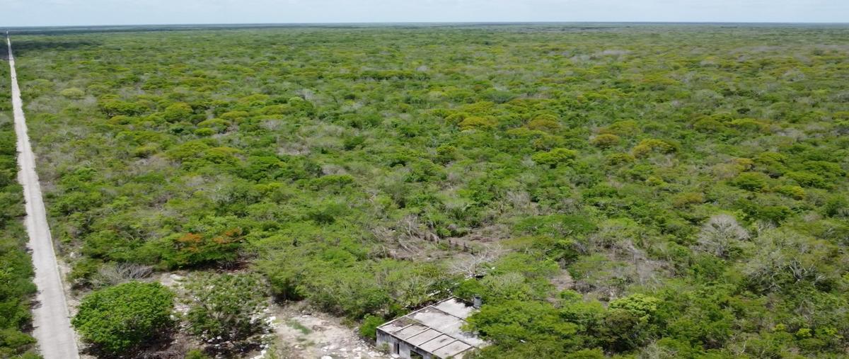 Foto de terreno habitacional en venta en  , dzilam de bravo, dzilam de bravo, yucatán, 0 No. 04