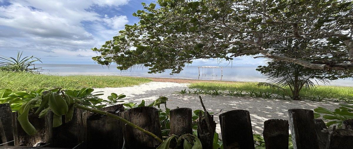 Foto de terreno habitacional en venta en  , dzilam de bravo, dzilam de bravo, yucatán, 0 No. 04