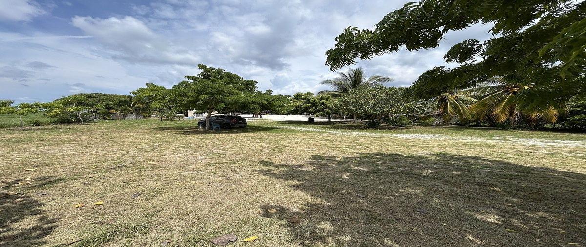Foto de terreno habitacional en venta en  , dzilam de bravo, dzilam de bravo, yucatán, 0 No. 05