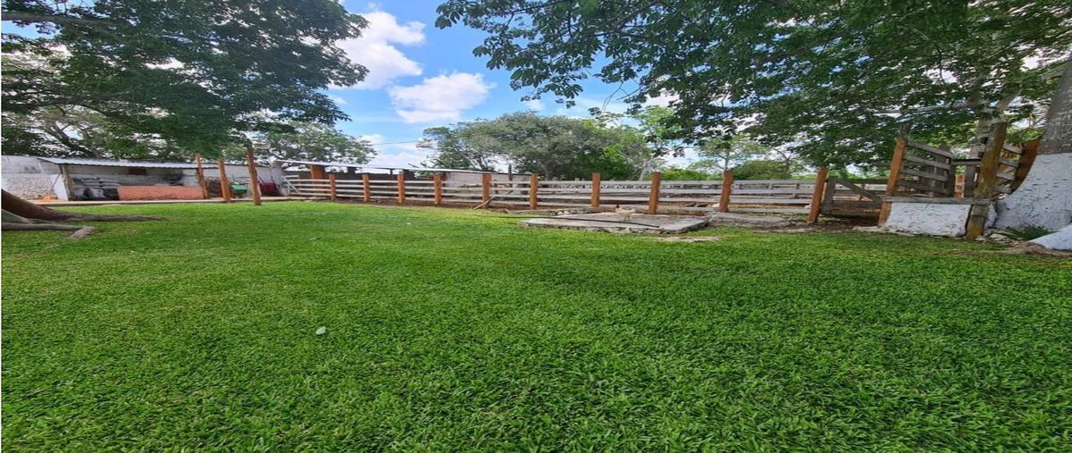 Foto de rancho en , dzilam gonzalez, dzilam gonzález, yucatán, 0 foto 02 Foto de rancho en venta en , dzilam gonzalez, dzilam gonzález, yucatán, 0 No. 02