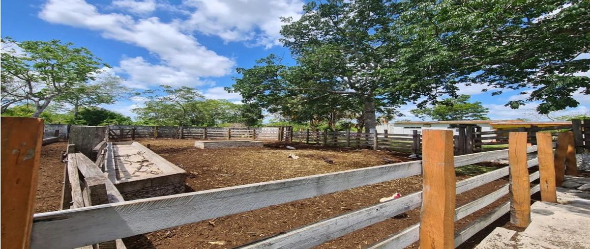 Foto de rancho en , dzilam gonzalez, dzilam gonzález, yucatán, 0 foto 04 Foto de rancho en venta en , dzilam gonzalez, dzilam gonzález, yucatán, 0 No. 04
