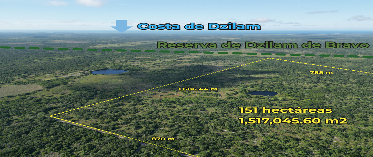 Foto de terreno habitacional en venta en  , dzilam gonzalez, dzilam gonzález, yucatán, 0 No. 05