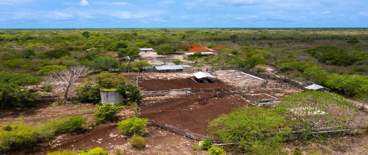 Foto de casa en , dzilam gonzalez, dzilam gonzález, yucatán, 0 foto 01 Foto de casa en venta en , dzilam gonzalez, dzilam gonzález, yucatán, 0 No. 01