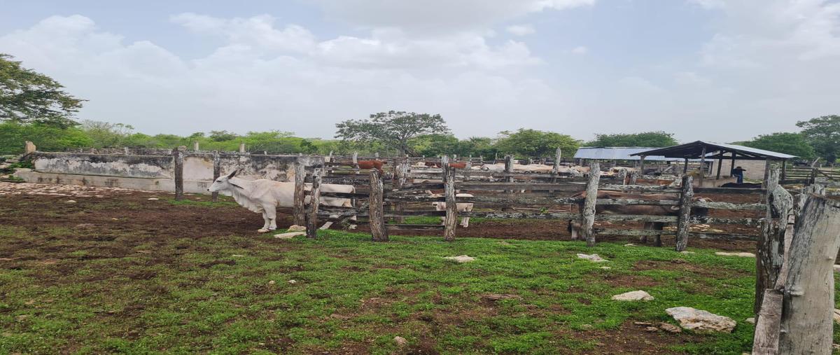 Foto de casa en , dzilam gonzalez, dzilam gonzález, yucatán, 0 foto 03 Foto de casa en venta en , dzilam gonzalez, dzilam gonzález, yucatán, 0 No. 03