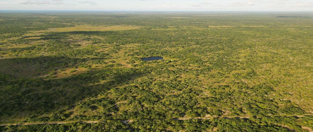 Foto de terreno habitacional en , dzilam gonzalez, dzilam gonzález, yucatán, 0 foto 01 Foto de terreno habitacional en venta en , dzilam gonzalez, dzilam gonzález, yucatán, 0 No. 01