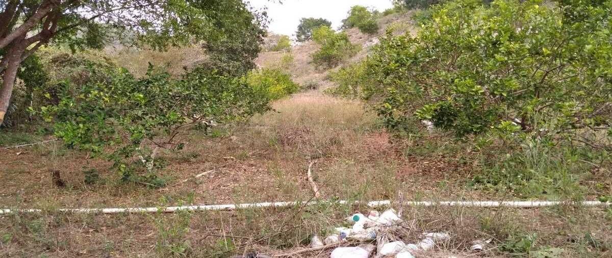 Foto de terreno habitacional en venta en  , dzitnup, hecelchakán, campeche, 0 No. 04