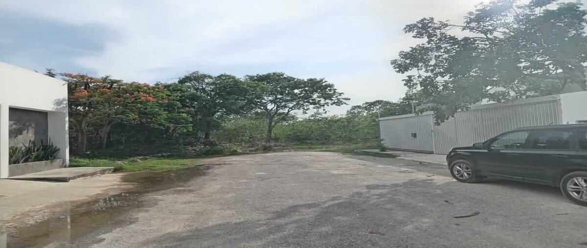 Foto de terreno habitacional en dzitya , dzitya, mérida, yucatán, 29698014 foto 01 Foto de terreno habitacional en venta en dzitya , dzitya, mérida, yucatán, 29698014 No. 01