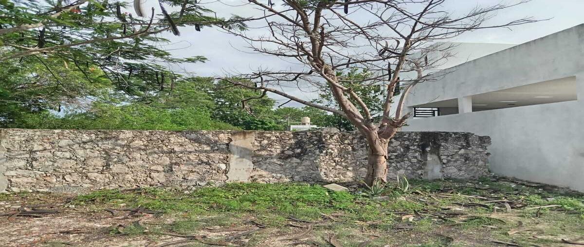 Foto de terreno habitacional en dzitya , dzitya, mérida, yucatán, 29698014 foto 02 Foto de terreno habitacional en venta en dzitya , dzitya, mérida, yucatán, 29698014 No. 02