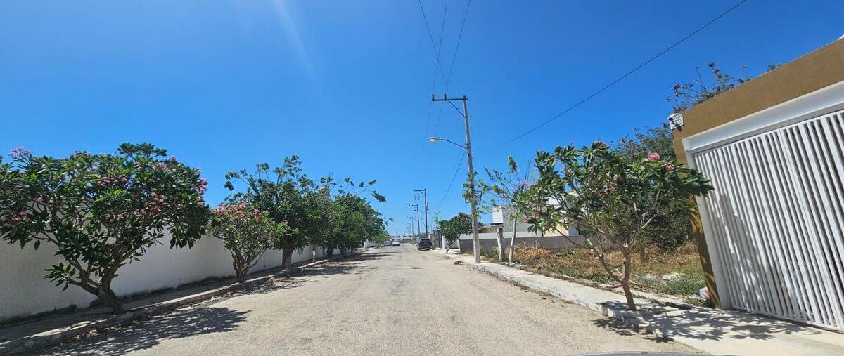 Foto de terreno habitacional en venta en dzitya , dzitya, mérida, yucatán, 30515901 No. 07
