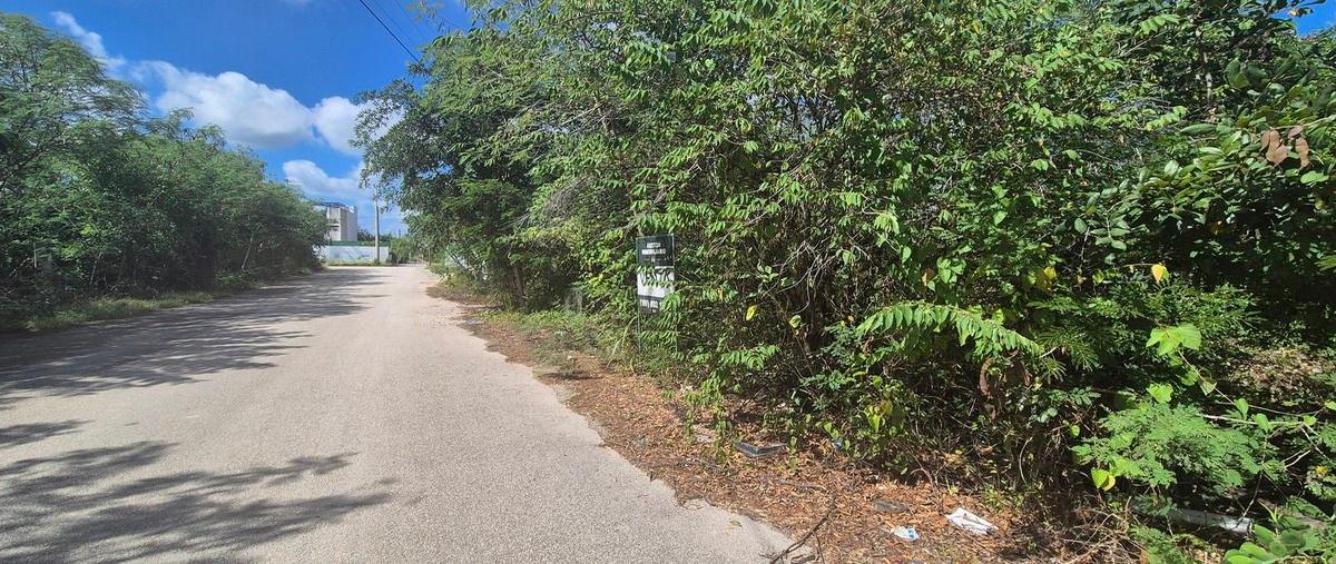 Foto de terreno habitacional en venta en dzitya , dzitya, mérida, yucatán, 30530071 No. 05