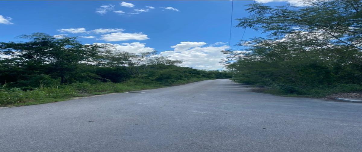 Foto de terreno habitacional en dzityá , dzitya, mérida, yucatán, 0 foto 05 Foto de terreno habitacional en venta en dzityá , dzitya, mérida, yucatán, 0 No. 05