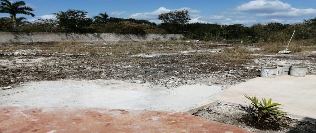 Foto de terreno habitacional en , dzitya, mérida, yucatán, 23599145 foto 04 Foto de terreno habitacional en venta en , dzitya, mérida, yucatán, 23599145 No. 04