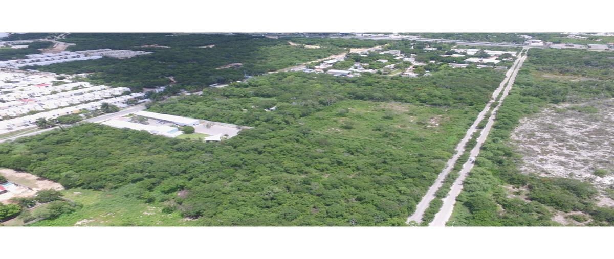 Foto de terreno habitacional en renta en  , dzitya, mérida, yucatán, 0 No. 05