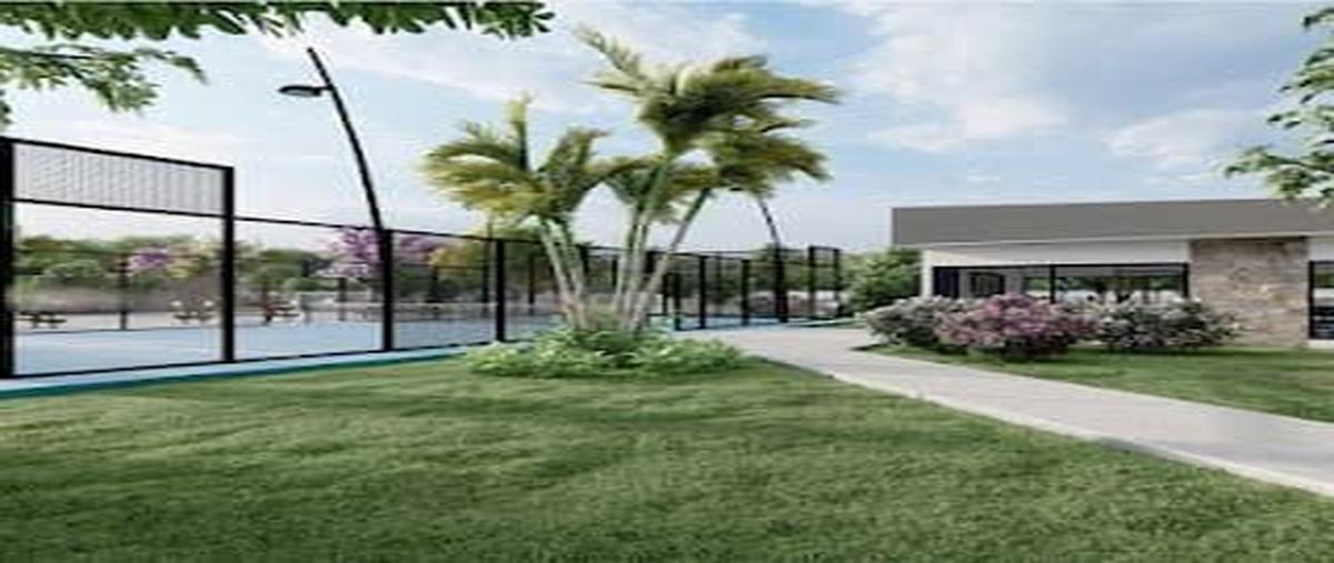 Foto de terreno habitacional en venta en  , dzitya, mérida, yucatán, 26466779 No. 03