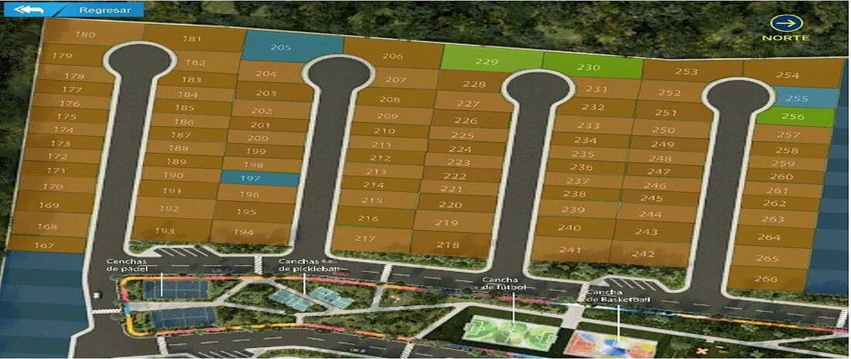 Foto de terreno habitacional en venta en  , dzitya, mérida, yucatán, 26561653 No. 04