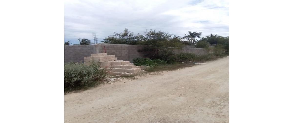 Foto de terreno habitacional en venta en  , dzitya, mérida, yucatán, 0 No. 03