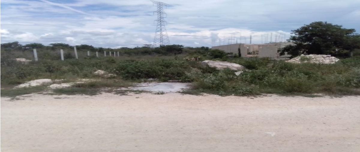 Foto de terreno habitacional en venta en  , dzitya, mérida, yucatán, 0 No. 04